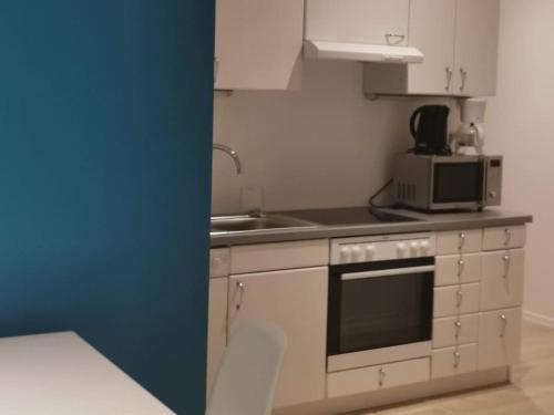 eine kleine Küche mit einer Spüle und einer Mikrowelle in der Unterkunft Apartment in Natrup-Hagen 