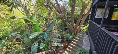 Κήπος έξω από το Old Vic Travellers Inn Nelspruit