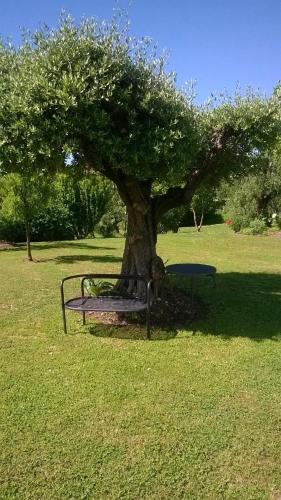 Jardín al aire libre en Bed and Breakfast Posserle