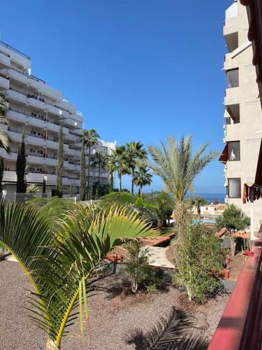 Delizioso studio residence Olympia a Playa de Las Americas