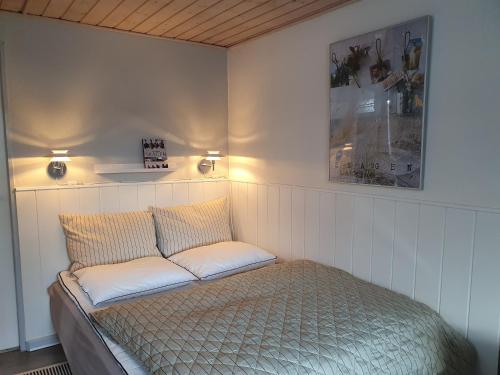 een bed met 2 kussens in een kamer bij Anneks Bågøvej in Skagen