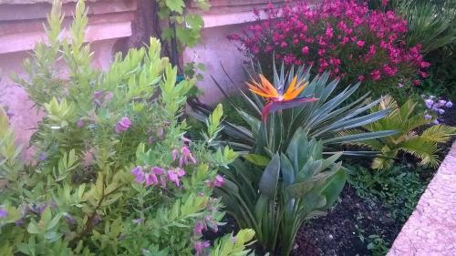 Jardín al aire libre en Bed and Breakfast Posserle