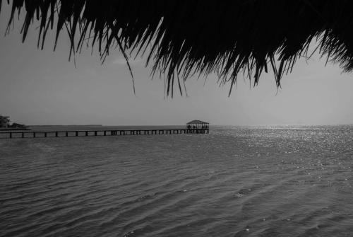a beach with a pier and the ocean at Wyndham Garden El Morro Montecristi in El Rincón