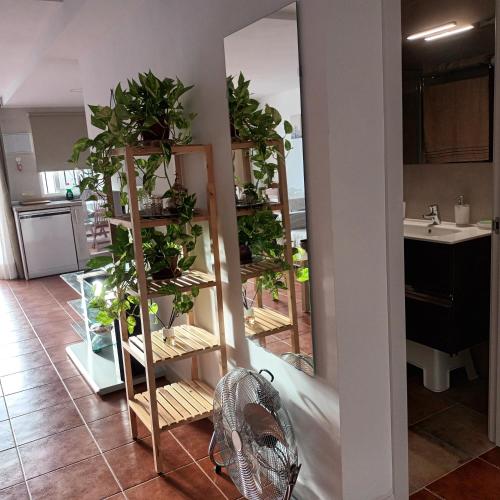 a room with a bunch of plants on shelves at Apartamento Bambadela in Cala del Moral