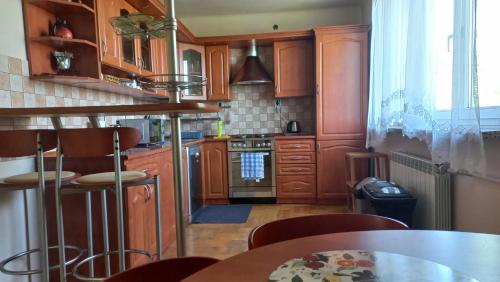 Η κουζίνα ή μικρή κουζίνα στο Apartamenty Warka