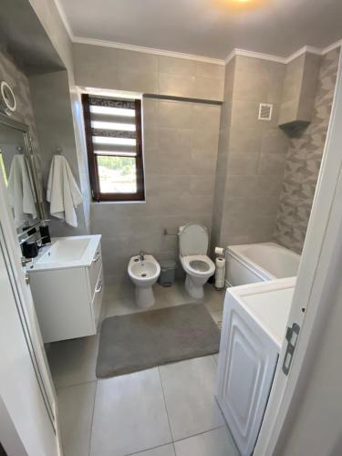 een badkamer met een wastafel, een toilet en een bad bij Sofia Residence Apartments in Tîrgu Neamţ