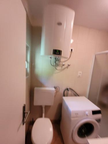 een kleine badkamer met een toilet en een wastafel bij HIŠKA SILVA in Mislinja