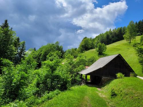 an old barn on a green hill with trees at HIŠKA SILVA in Mislinja