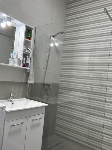 Elysa Apartament في مامايا نورد نافورداي: حمام مزود بدش ومغسلة