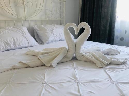 twee zwanen zitten op een bed met handdoeken bij Apartament Diana in Tulcea