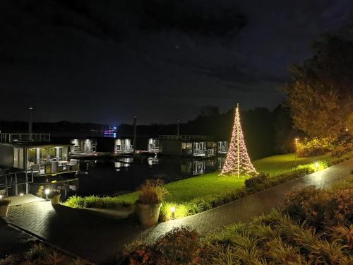 a christmas tree in the middle of a yard at night at Houseboats Mookerplas in Middelaar