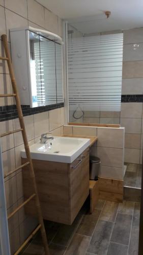 uma casa de banho com um lavatório e um espelho em Les Balcons de L'Izoard - L'écureuil em Arvieux