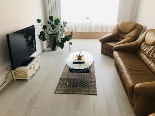 een woonkamer met een bank en een salontafel bij Apartament Diana in Tulcea