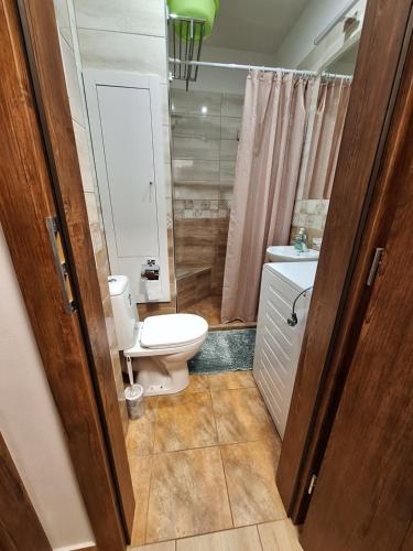 ein Bad mit einem WC, einem Waschbecken und einer Dusche in der Unterkunft Diana Apartments 2 in Bardejov