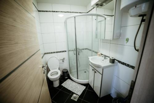 e bagno con servizi igienici, doccia e lavandino. di Apartman Ksenija a Vrnjačka Banja