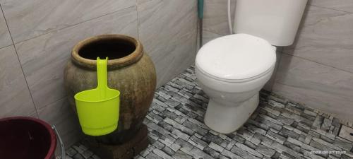 a bathroom with a toilet and a vase and a bucket at SRI MALAU 