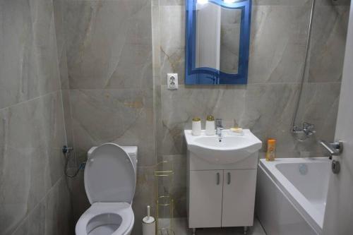La salle de bains est pourvue de toilettes, d'un lavabo et d'un miroir. dans l'établissement Real Residence -apartament cu 3 camere- Valeni 144, à Ploieşti