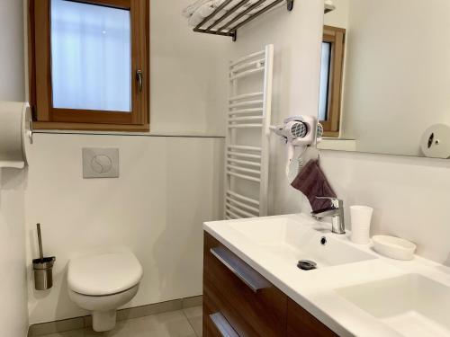 a bathroom with a sink and a toilet and a mirror at Perle de vue in Glaine-Montaigut