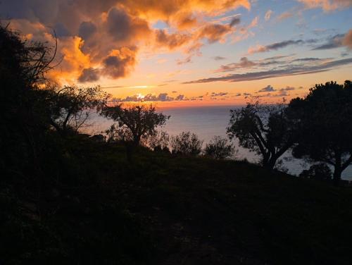 a sunset over the ocean with trees on a hill at Casa Morello in Zambrone