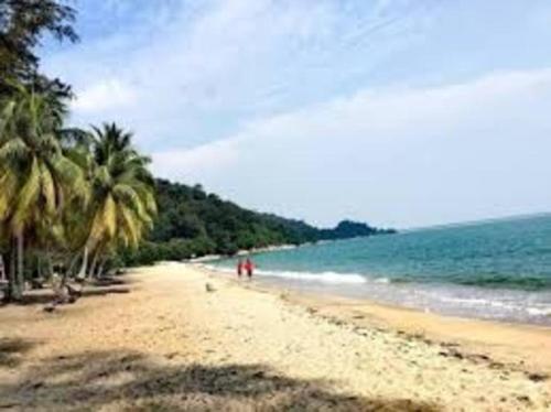 a sandy beach with palm trees and the ocean at lumut manjung homestay john faten in Lumut