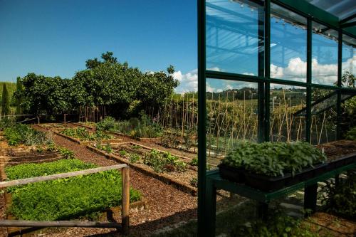 a greenhouse filled with lots of plants in a garden at Coltivare AgriRelais in La Morra