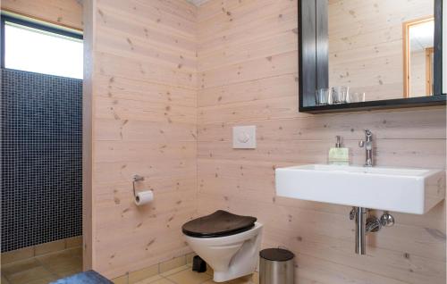 イェリングにあるStunning Home In Hjrring With 3 Bedrooms And Wifiのバスルーム(トイレ、洗面台付)