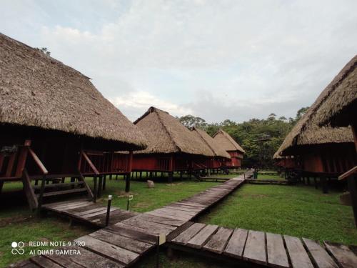Une rangée de cabanes au toit de chaume et un chemin en bois dans l'établissement WaitaAmazonlodge, 