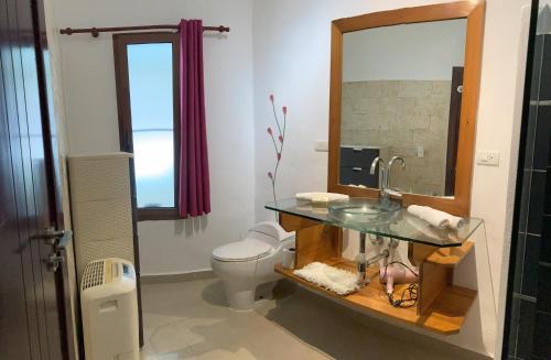 a bathroom with a sink and a toilet and a mirror at OKAINA 2 in Cabarete