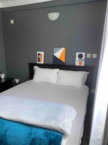 a bedroom with a white bed with a blue blanket at Rozy homes Jinja in Jinja