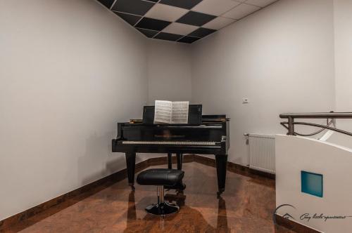 a black piano in a room with a chair at Cozy Little Apartments in Ig