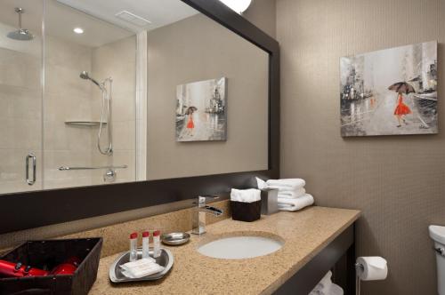 a bathroom with a sink and a shower and a mirror at Ramada by Wyndham St. John's in St. John's