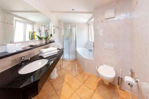 a bathroom with a sink and a toilet and a shower at Parkhotel an der Therme in Bad Krozingen