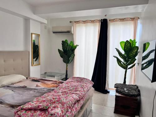 a bedroom with a bed and two potted plants at Bel appartement sur l'île de Margarita, avec vue sur la mer in Pampatar