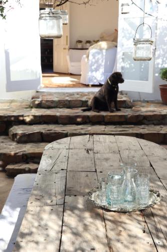 a black dog sitting on top of a wooden table at InAweStays Holiday Homes in Cape Town
