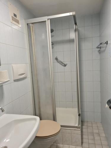 a bathroom with a shower and a toilet and a sink at Hotel Zum Pass in Sieber