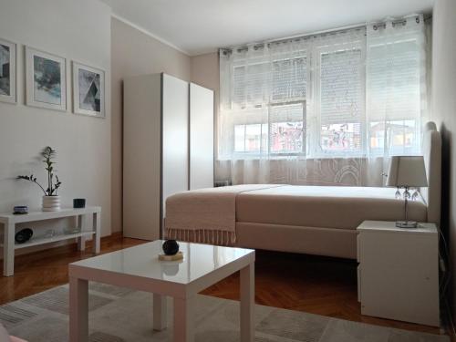 a bedroom with a large bed and a window at Red Square Apartment in Pirot