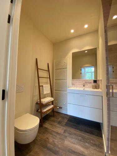 a bathroom with a toilet and a sink and a mirror at Maison d’Arnaud in Ghent