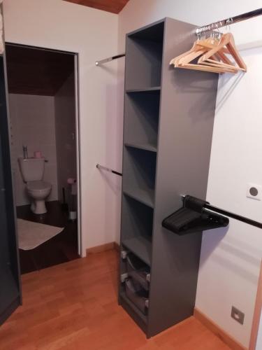 a walk in closet in a bathroom with a toilet at MagHouse in Cestas