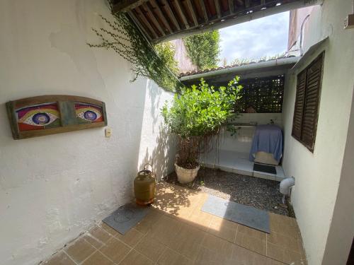 an outside courtyard of a house with a plant at Casa Beira Mar Itamaracá in Itamaracá