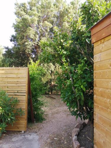 a garden with a wooden fence and trees at Les chalets de Palavesa in Porto-Vecchio
