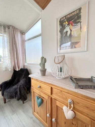 Cette chambre comprend une commode avec un cactus et une fenêtre. dans l'établissement APPARTEMENT 4 personnes - 500 m plage - 4GOEL53, au Barcarès