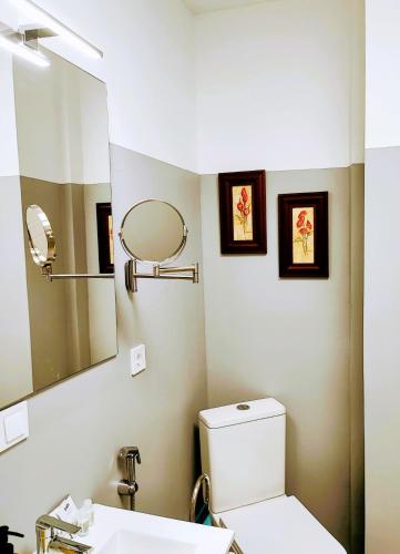 a bathroom with a toilet and a sink and a mirror at Apartamento Albariño 23 in Novelda