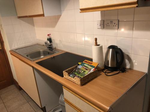 a kitchen counter with a sink and a basket on it at Riverside apartment in Brecon