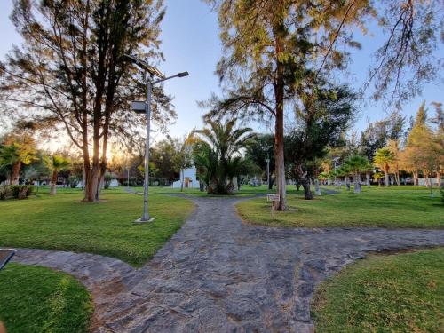 a path in a park with trees and a street light at Cabañas La Huayca - Caja Los Andes in Pica