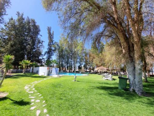 a park with a tree and a swimming pool at Cabañas La Huayca - Caja Los Andes in Pica