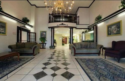 The lobby or reception area at Ark Suites