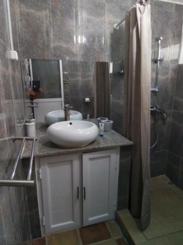 ein Badezimmer mit einem weißen Waschbecken und einer Dusche in der Unterkunft Villa baie diamant in Rodrigues Island