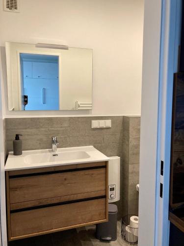 a bathroom with a sink and a mirror at Monopol 106 in Wangerooge