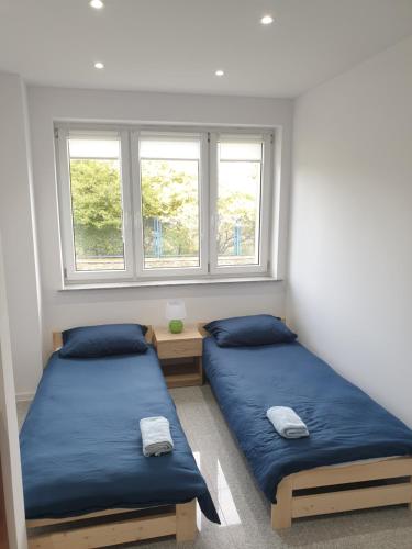 two beds in a room with two windows at Noclegi - Pokoje - STEMPO in Skarżysko-Kamienna
