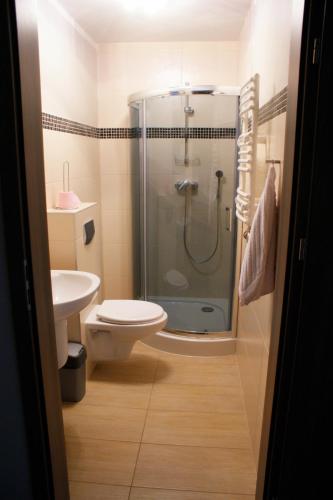 a bathroom with a shower and a toilet and a sink at Alpejski Zieleniec in Duszniki Zdrój